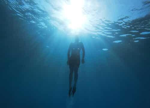 All in One – Nurkowanie, Snorkeling i Relaks na Wyspie Paradise