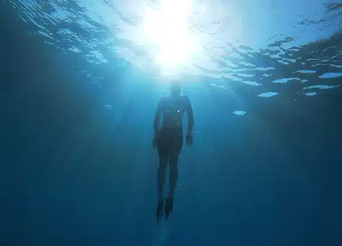 All in One – Nurkowanie, Snorkeling i Relaks na Wyspie Paradise